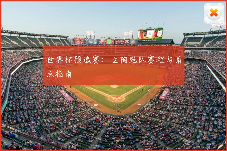 世界杯预选赛:立陶宛队赛程与看点指南
