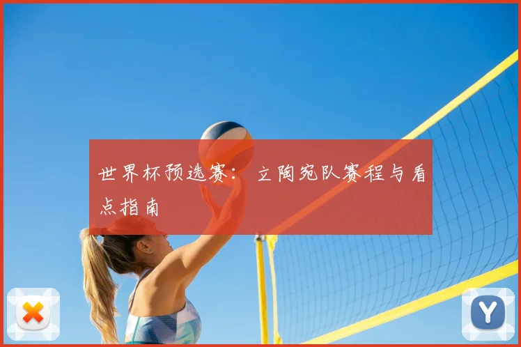 世界杯预选赛：立陶宛队赛程与看点指南